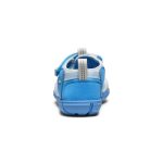 Little Kids' Seacamp II CNX | Azure Blue/Star White