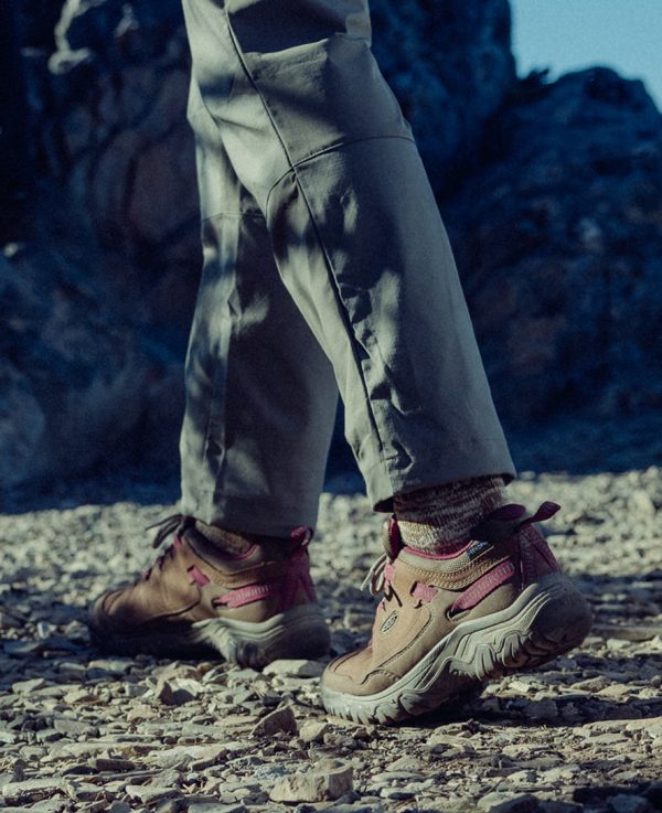 Women's Targhee IV Waterproof Hiking Shoe | Alloy/Granite Green