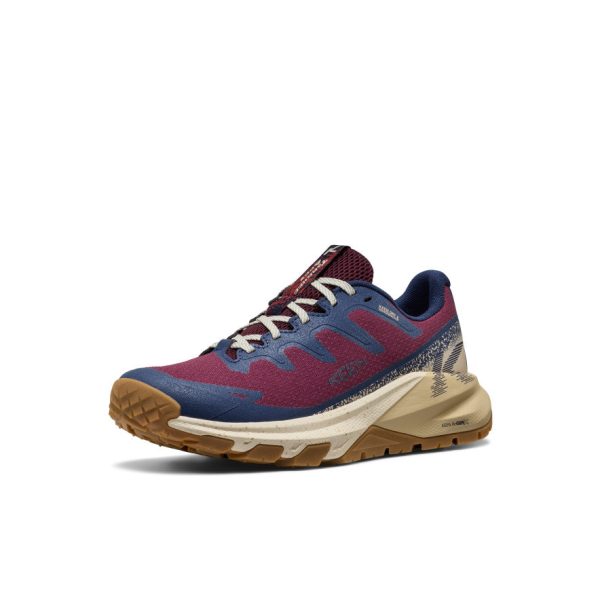 Women's Targhee Apex Waterproof Hiking Shoe  |  Fig/Naval Academy