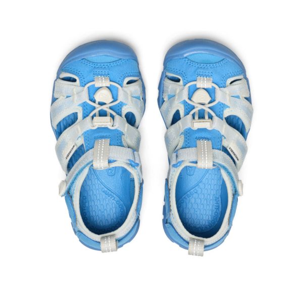 Little Kids' Seacamp II CNX | Azure Blue/Star White