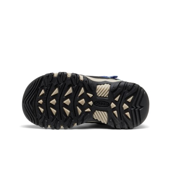 Little Kids' Targhee IV Waterproof Hiking Boot | Skipper Blue/Hemlock