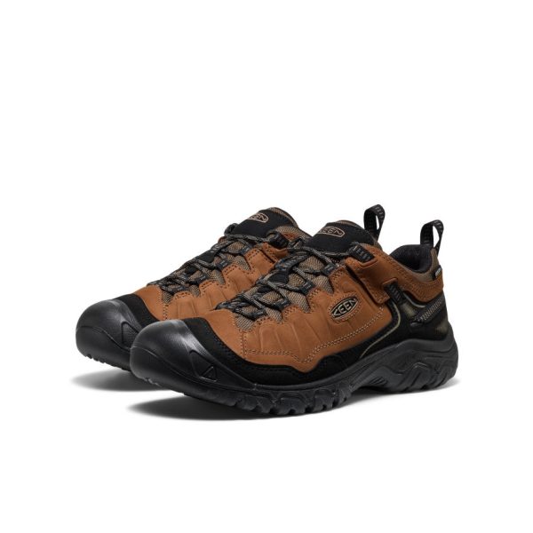 Men's Targhee IV Waterproof Hiking Shoe | Bison/Black