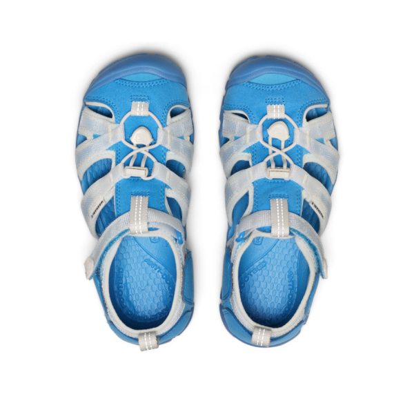 Big Kids' Seacamp II CNX | Azure Blue/Star White