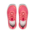 Big Kids' KNX Knit Sneaker  |  Dubarry/Star White