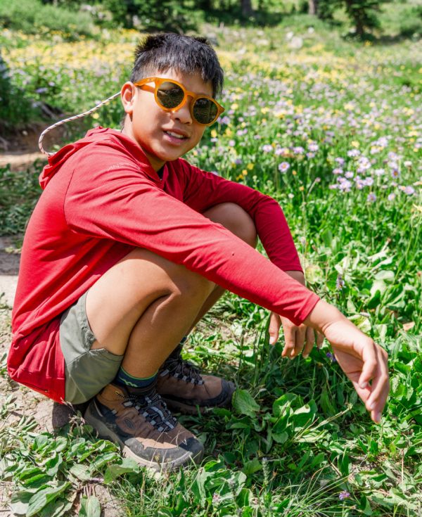 Big Kids' Targhee IV Waterproof Hiking Boot | Bison/Brindle