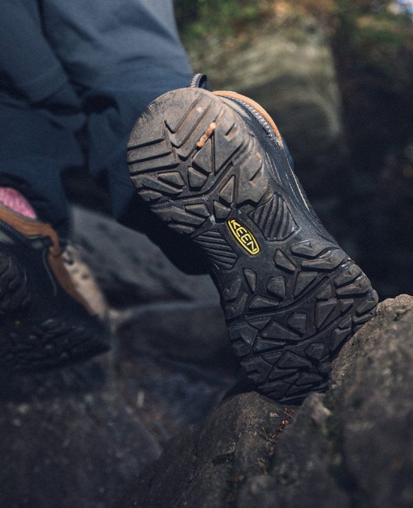 Men's Targhee IV Waterproof Hiking Shoe | Bison/Black