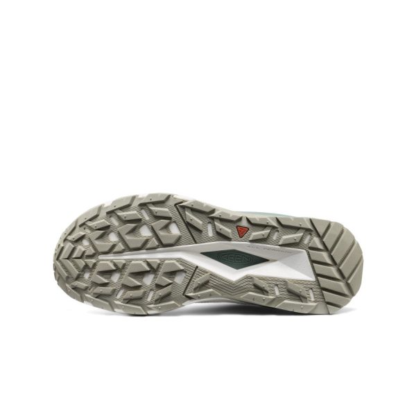 Men's Targhee Apex Waterproof Hiking Shoe | Star White/Lily Pad